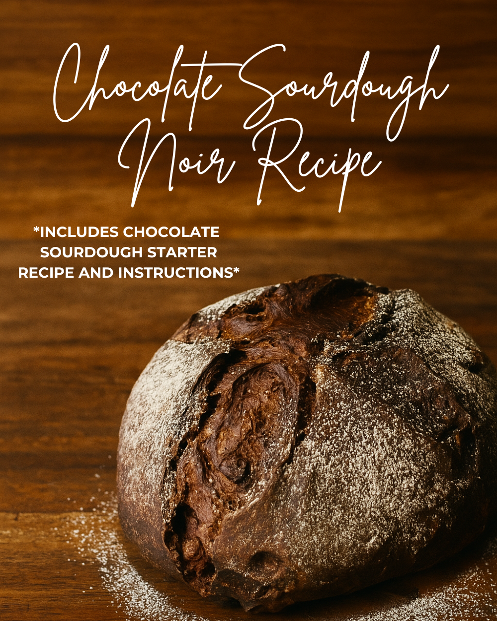 Live 119 Year Old Valrhona CHOCOLATE Sourdough Starter Includes Maintenance PDF & Chocolate Noir Loaf Recipe