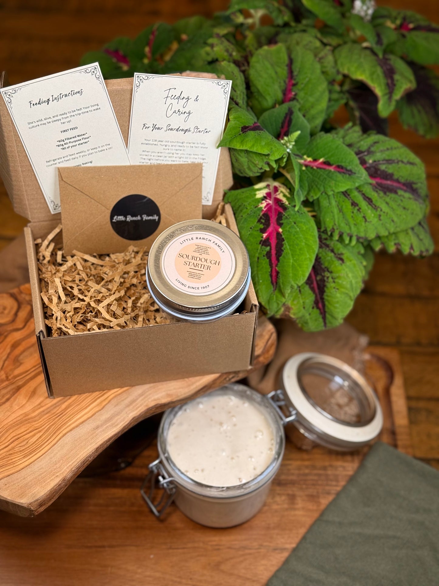 Little Ranch Family’s LIVE Organic 118 Year Old Sourdough Starter