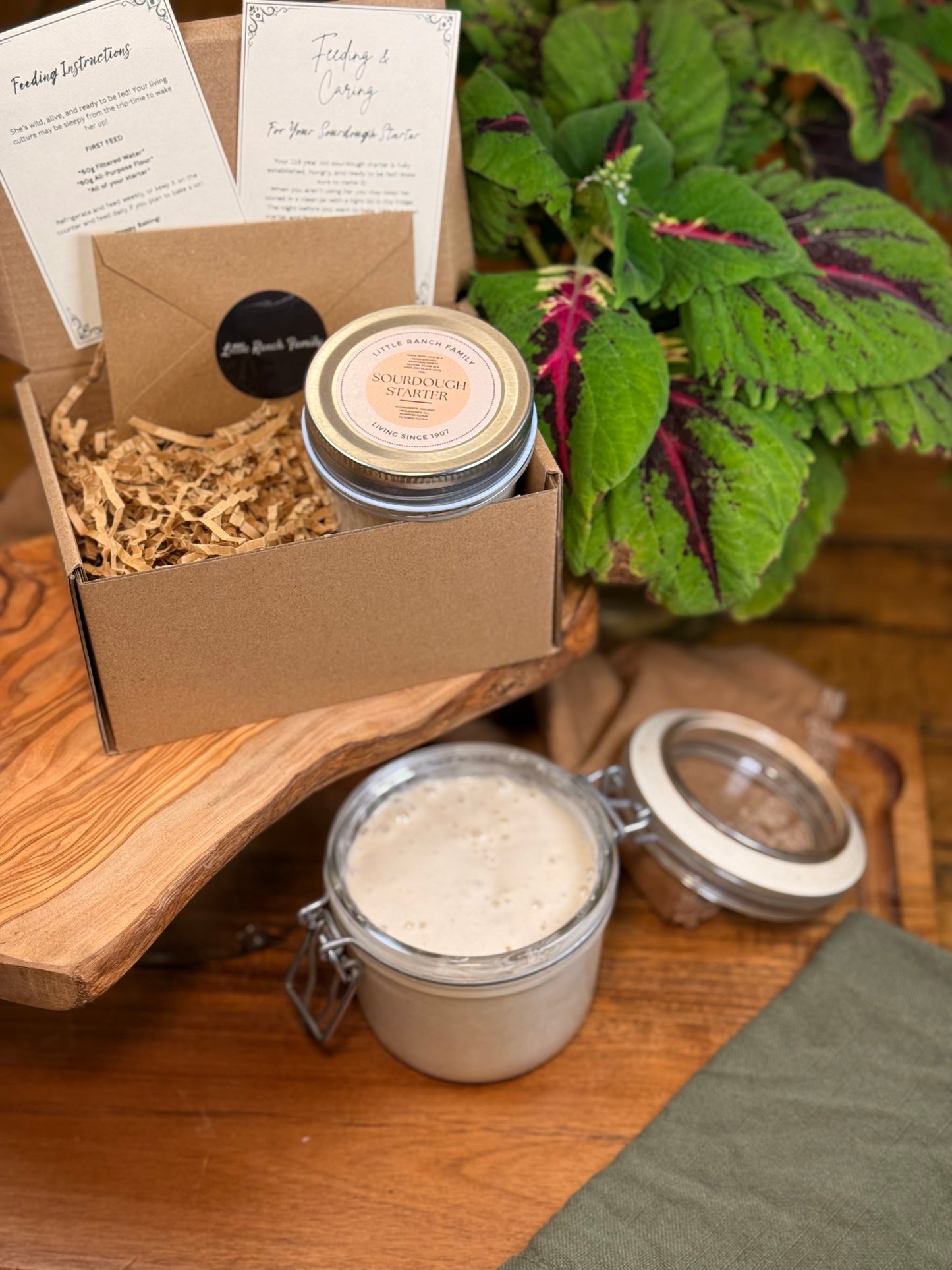 Little Ranch Family’s LIVE Organic 118 Year Old Sourdough Starter