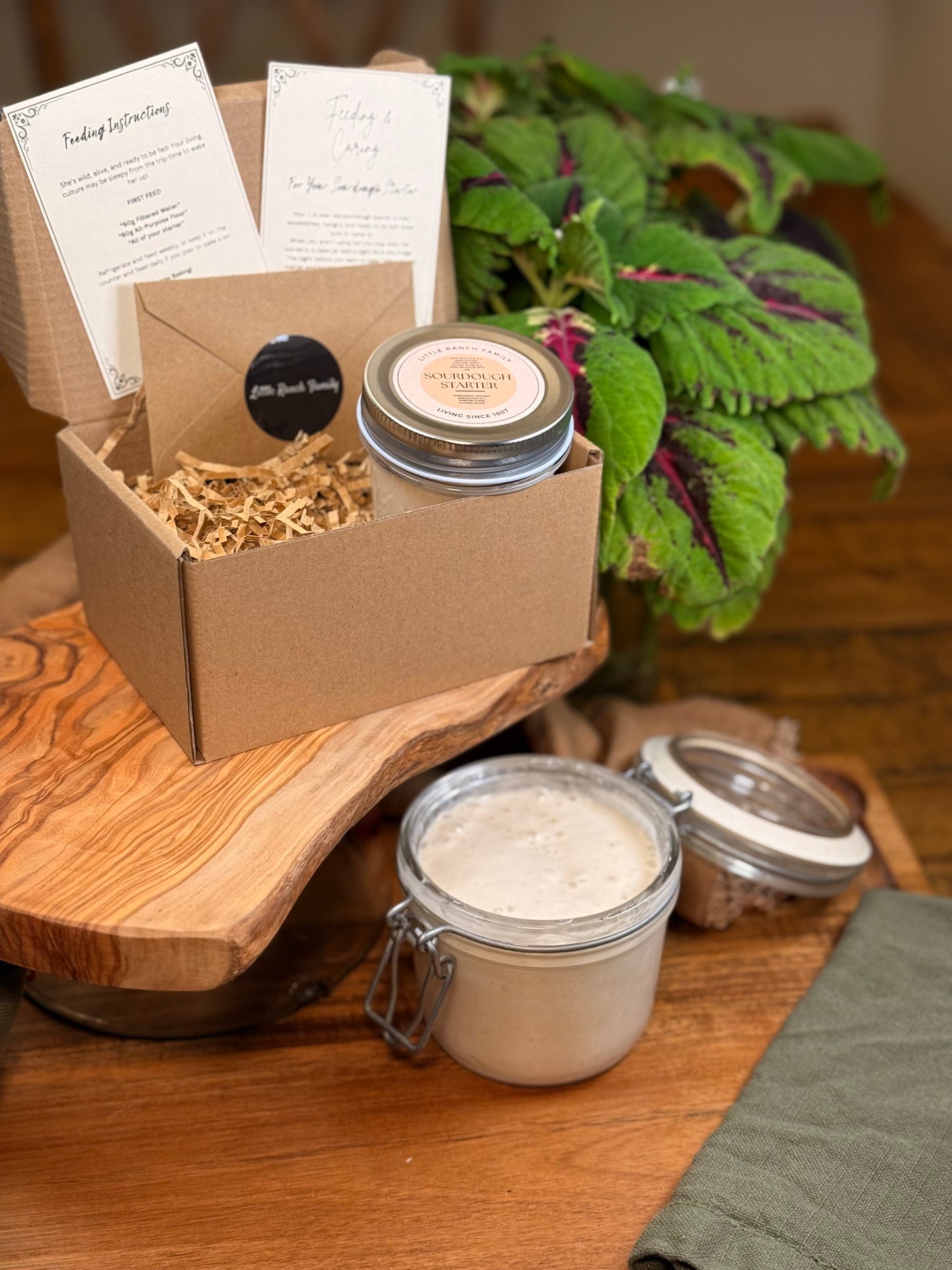 Little Ranch Family’s LIVE Organic 118 Year Old Sourdough Starter