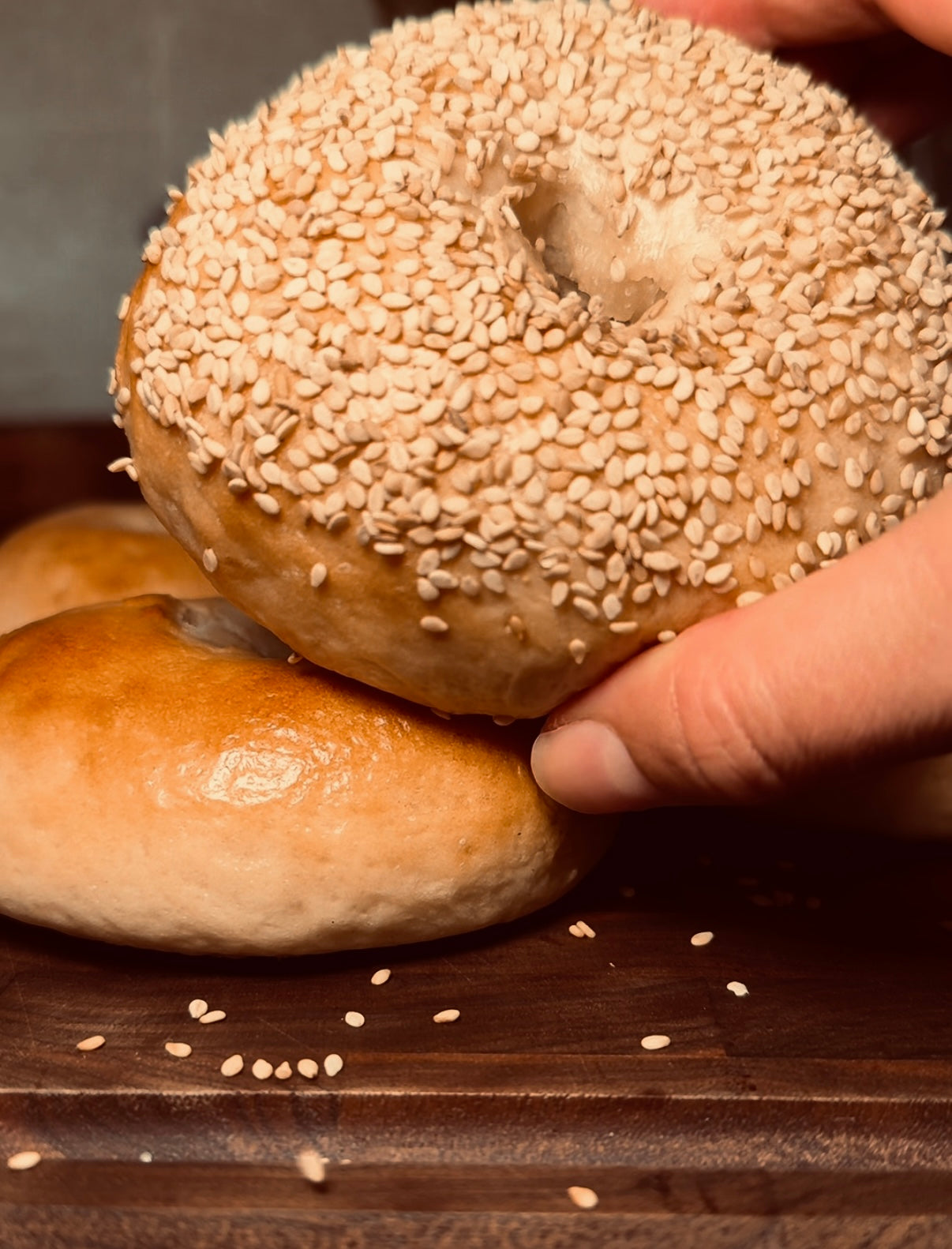 Sourdough Recipe Bundle: A Collection Of 5 Our Most Viral & Requested Recipes!