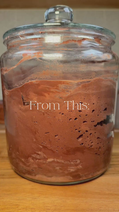Little Ranch Family's Live 118 Year Old Valrhona CHOCOLATE Sourdough Starter